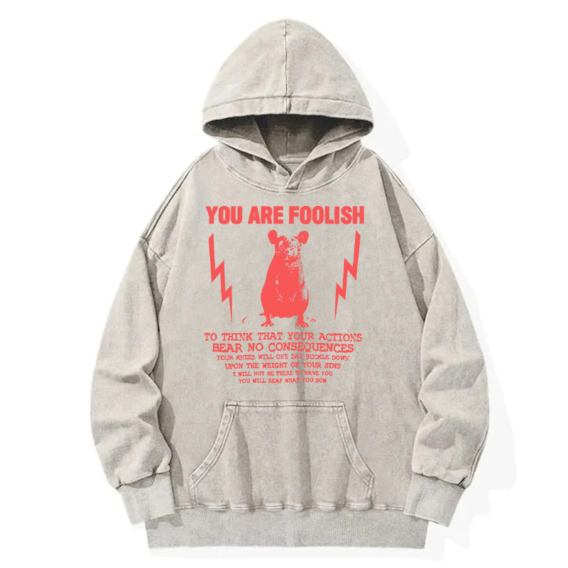 Tokyocanvas You Are Foolish Rat Meme Washed Hoodie