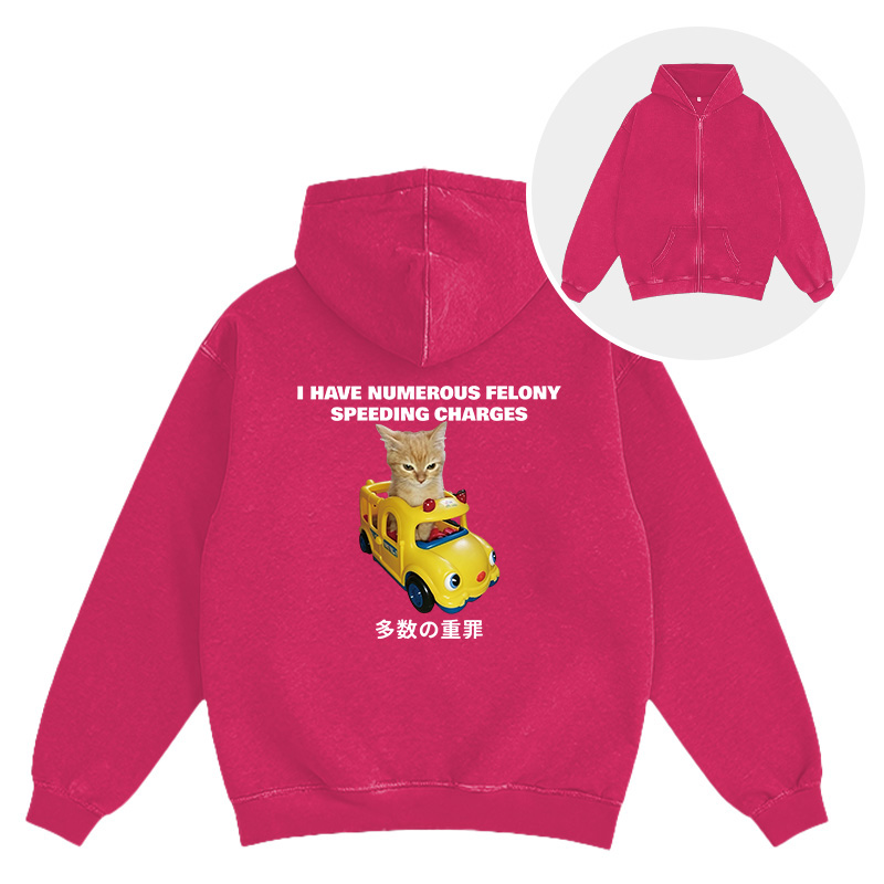 Tokyocanvas I Have Numerous Felonies For Speeding Washed Zip Hoodie