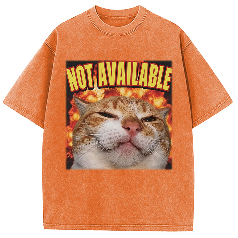 Tokyocanvas Not Available Cat Meme Washed T-Shirt