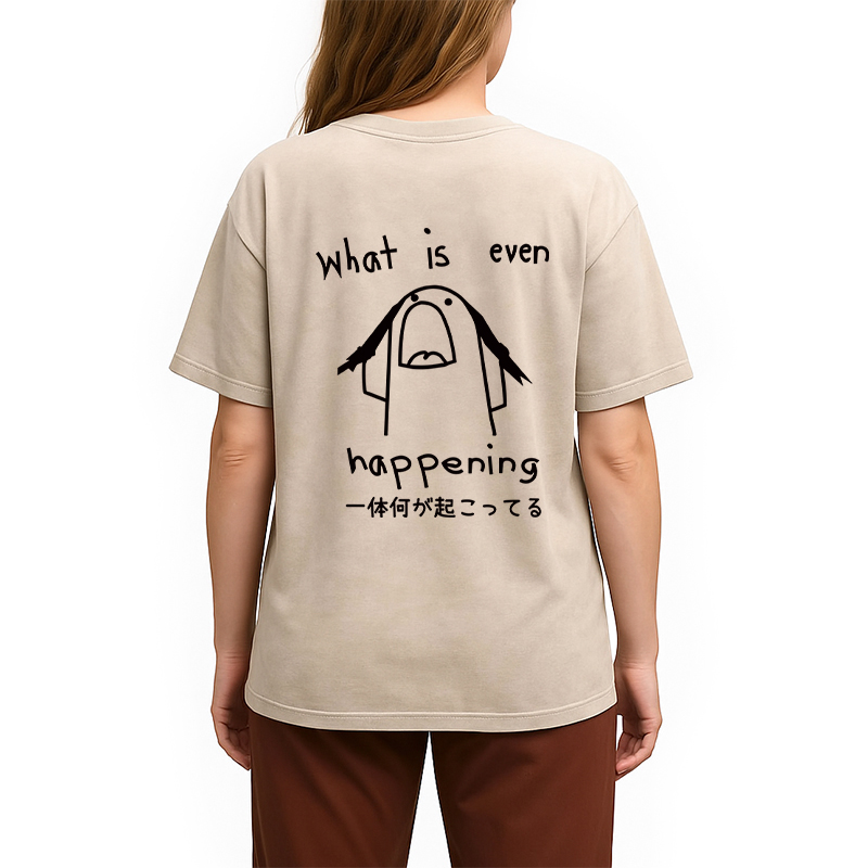 Tokyocanvas What Is Even Happening Back Washed T-Shirt