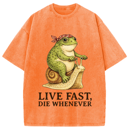 Tokyocanvas Live Fast Die Whenever Washed T-Shirt