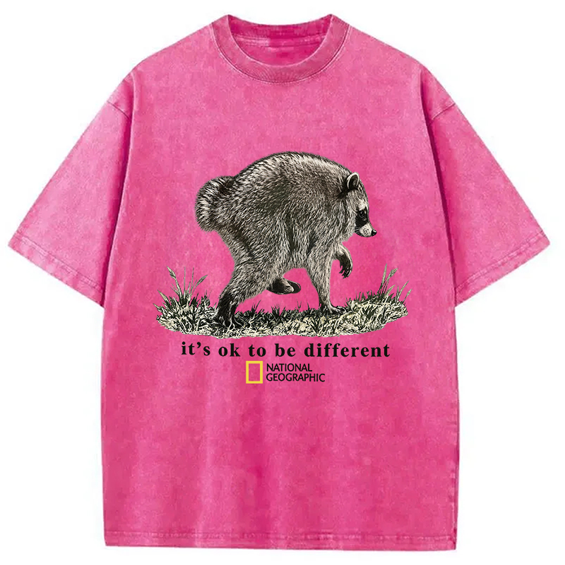 Tokyocanvas It’s OK to be Different Washed T-Shirt