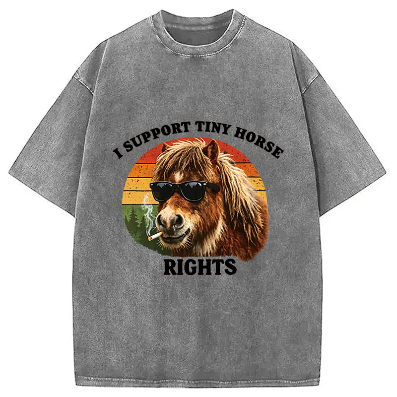 Tokyocanvas Frog Wizard Riding A Horse Washed T-Shirt