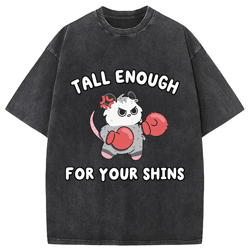 Tokyocanvas Tall Enough For Your Shins Washed T-Shirt