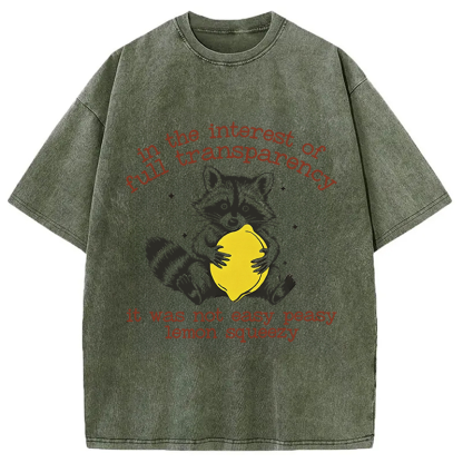 Tokyocanvas Racoon Lemon Squeezy Washed T-Shirt