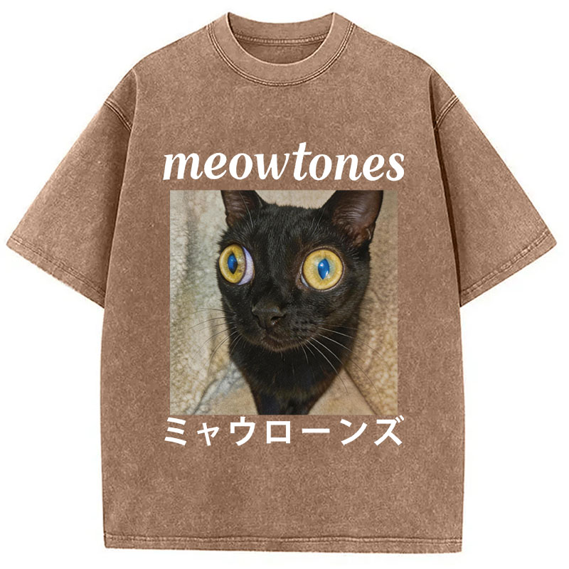 Tokyocanvas Meowlones Washed T-Shirt