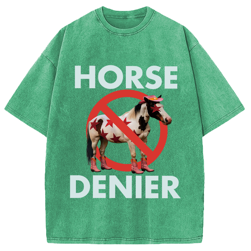 Tokyocanvas Funny Star-Spangled Cowboy Horse Denier Washed T-Shirt