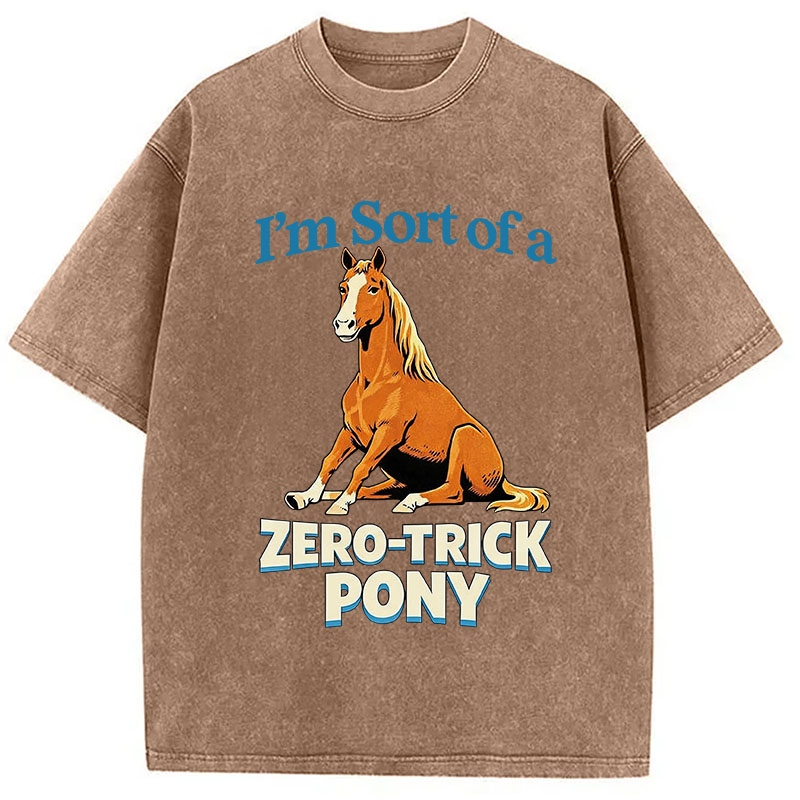 Tokyocanvas Zero Trick Pony Washed T-Shirt