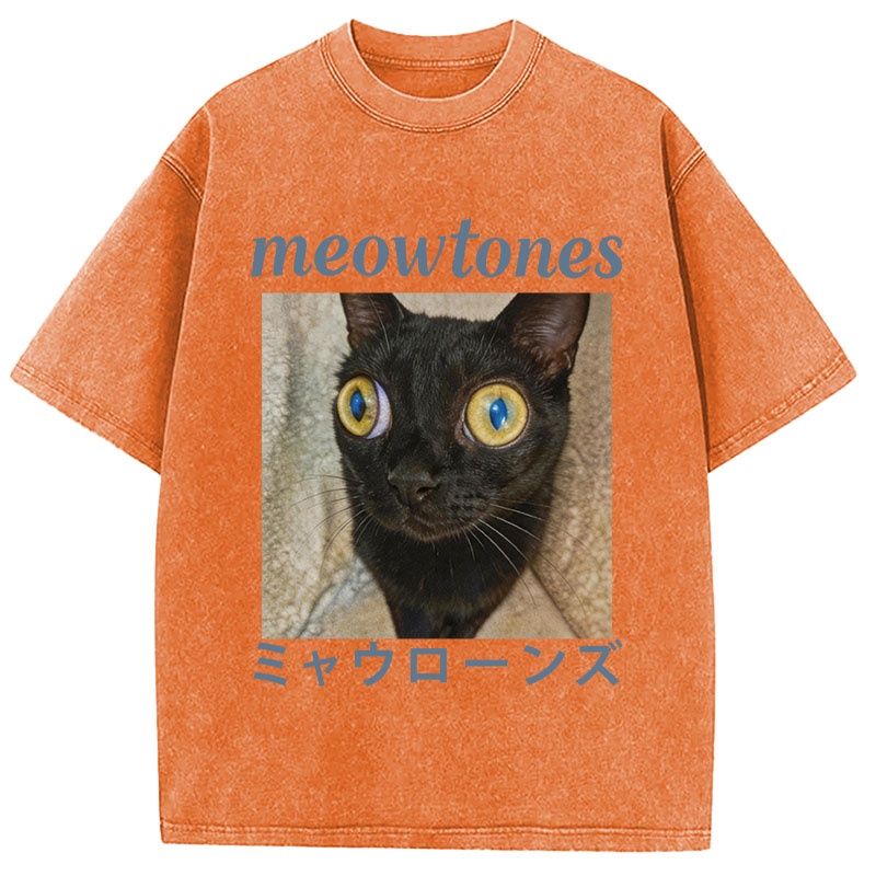 Tokyocanvas Meowlones Washed T-Shirt