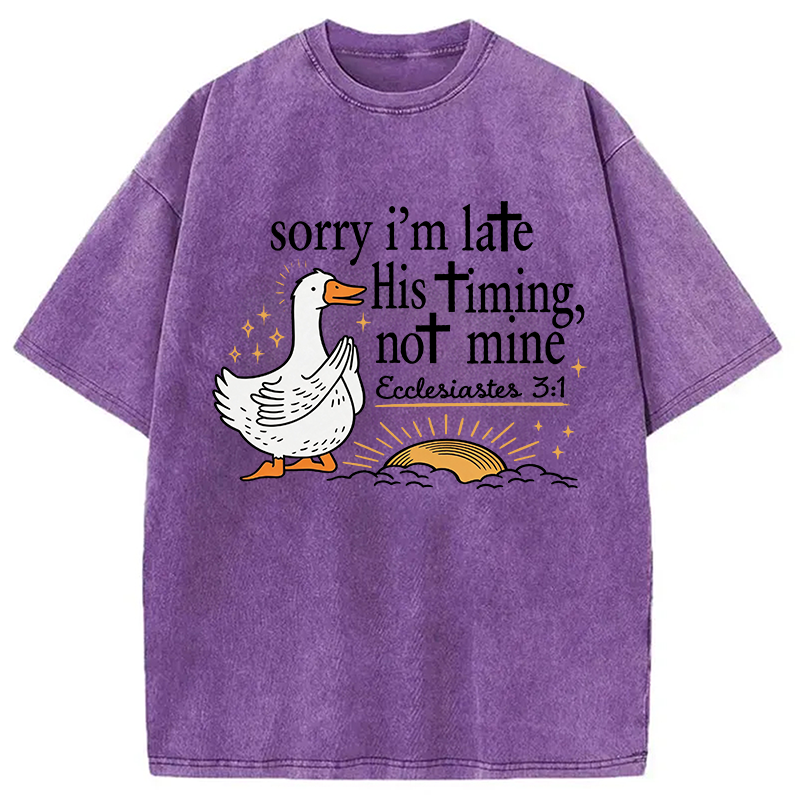 Tokyocanvas His Timing Not Mine Goose Washed T-Shirt