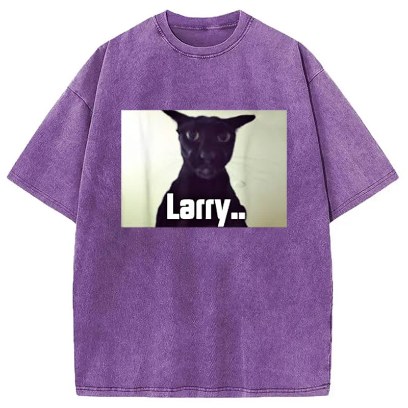 Tokyocanvas Evil Larry Meme Larry Cat Meme Washed T-Shirt