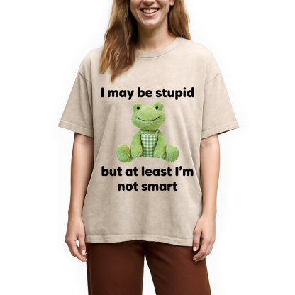 Tokyocanvas I May Be Stupid Alcohol Lover Washed T-Shirt