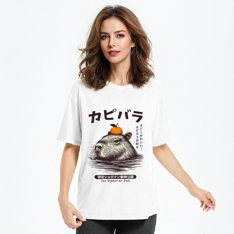 Tokyocanvas Capybara Hot Spring Classic T-Shirt