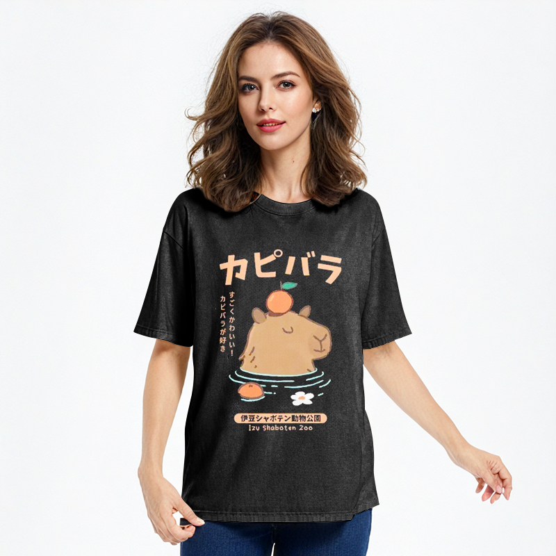 Tokyocanvas Capybara Soaking In Hot Springs Washed T-Shirt