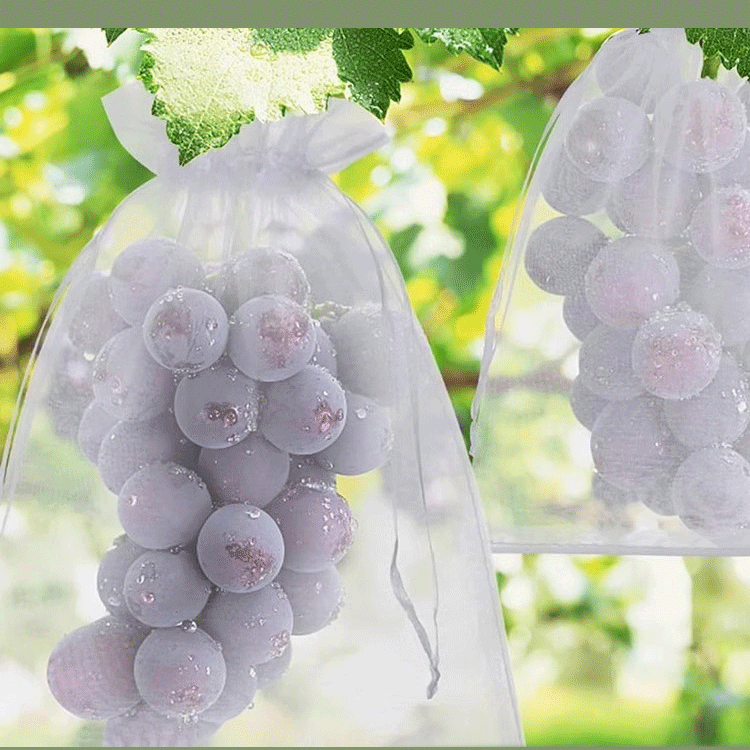 Fruit Bird and Insect Netting Bags