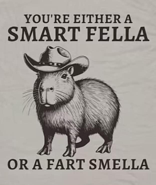 Smart Fella Capybara Tee