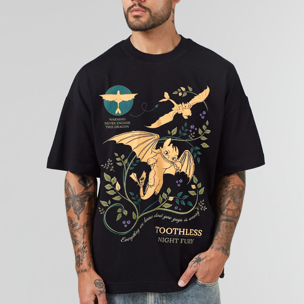 How to Train Your Dragon Toothless T-Shirt