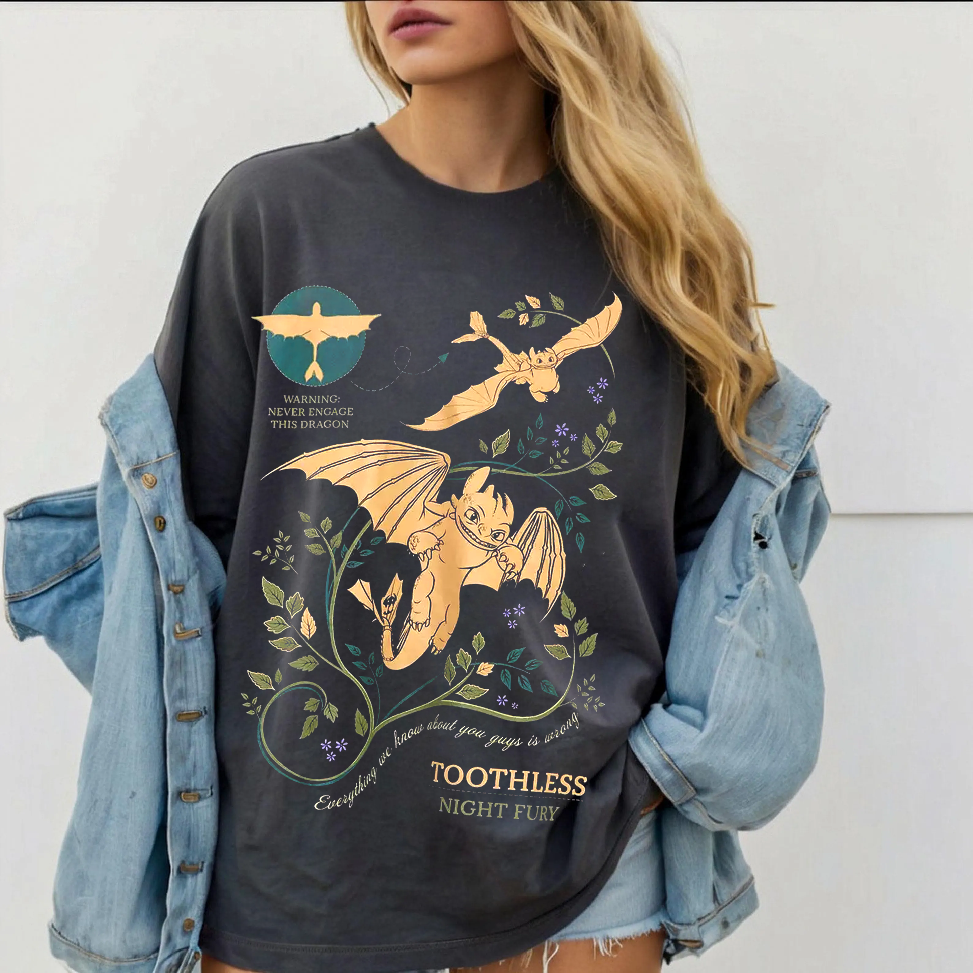 How to Train Your Dragon Toothless T-Shirt