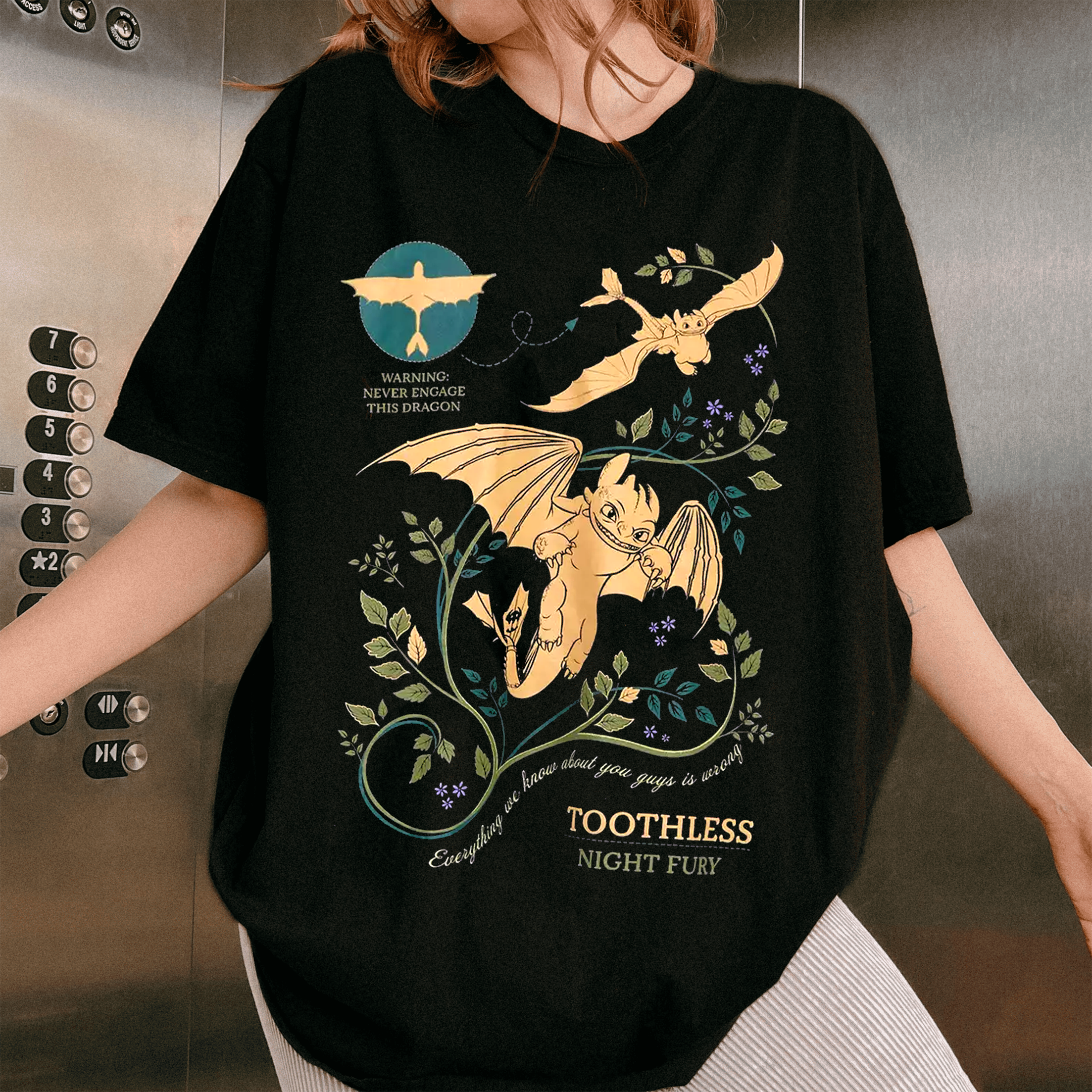 How to Train Your Dragon Toothless T-Shirt