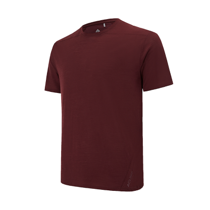 Merino Wool Men’s T-shirt