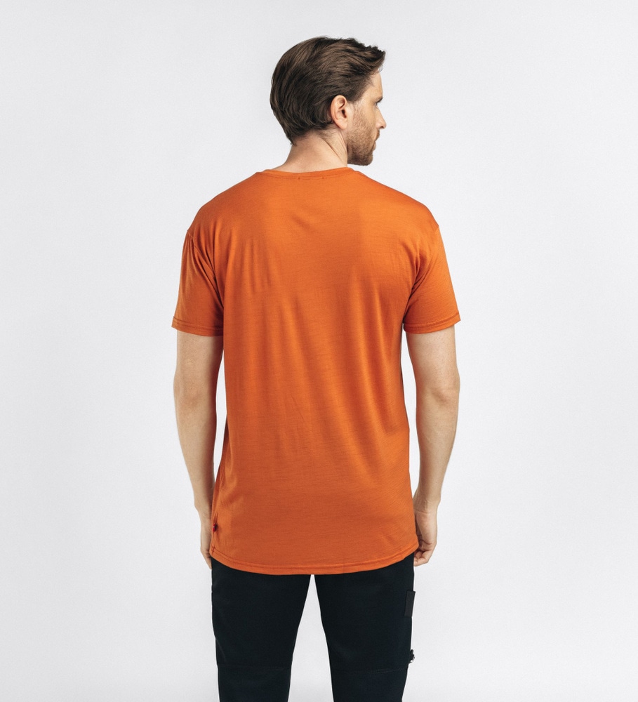 LightWool Tee Mountain M's Tarmac