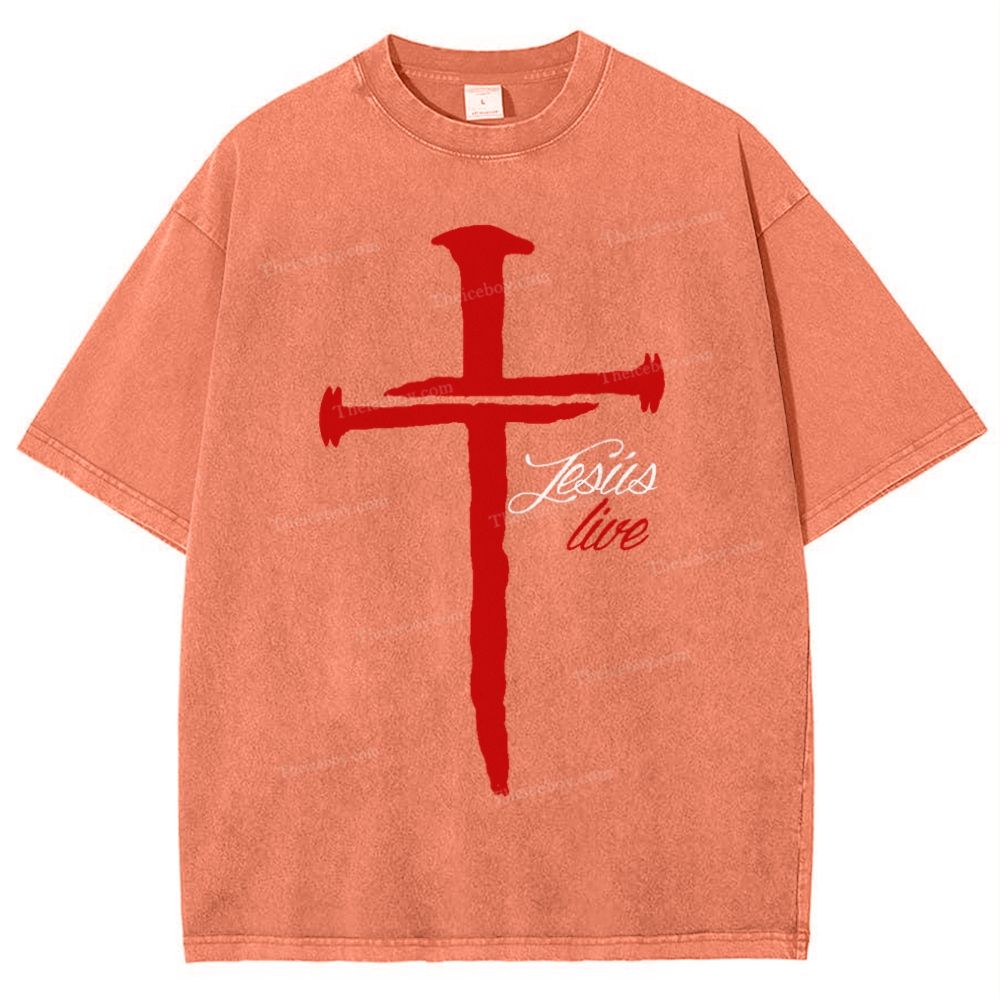 Jesus Live Snowflake Vintage Washed T-Shirt