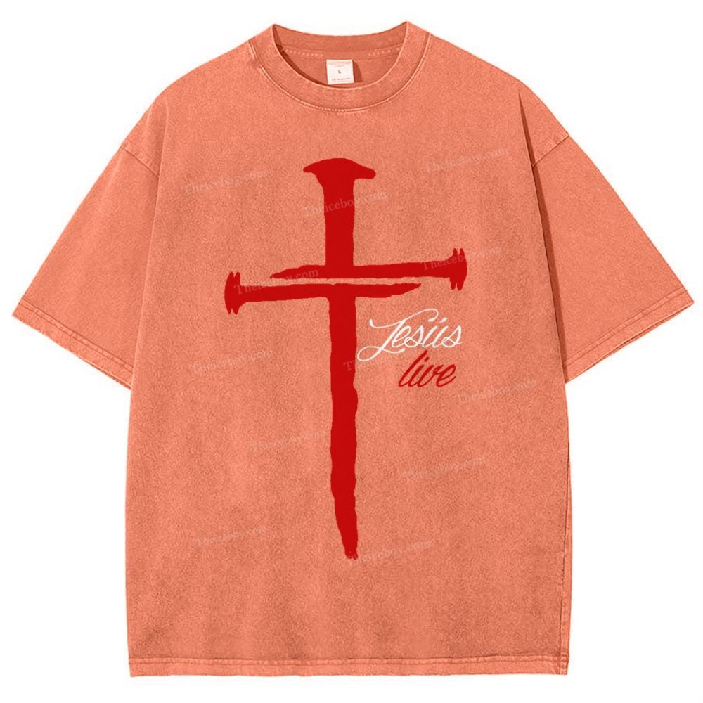 Jesus Live Snowflake Vintage Washed T-Shirt
