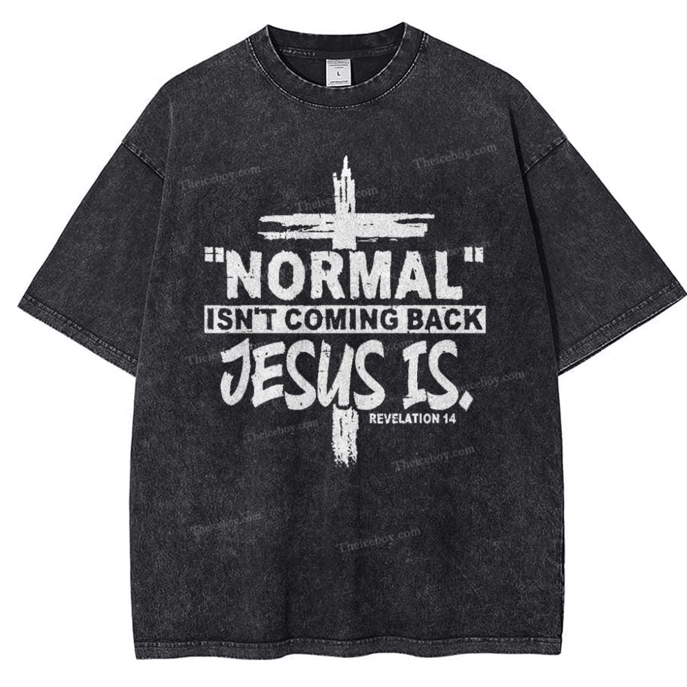Normal Isn't Coming Back Jesus Is .Revelation 14 Snowflake Vintage Washed T-Shirt