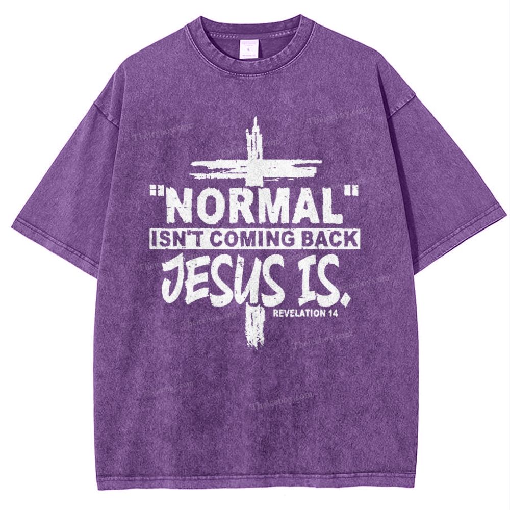 Normal Isn't Coming Back Jesus Is .Revelation 14 Snowflake Vintage Washed T-Shirt