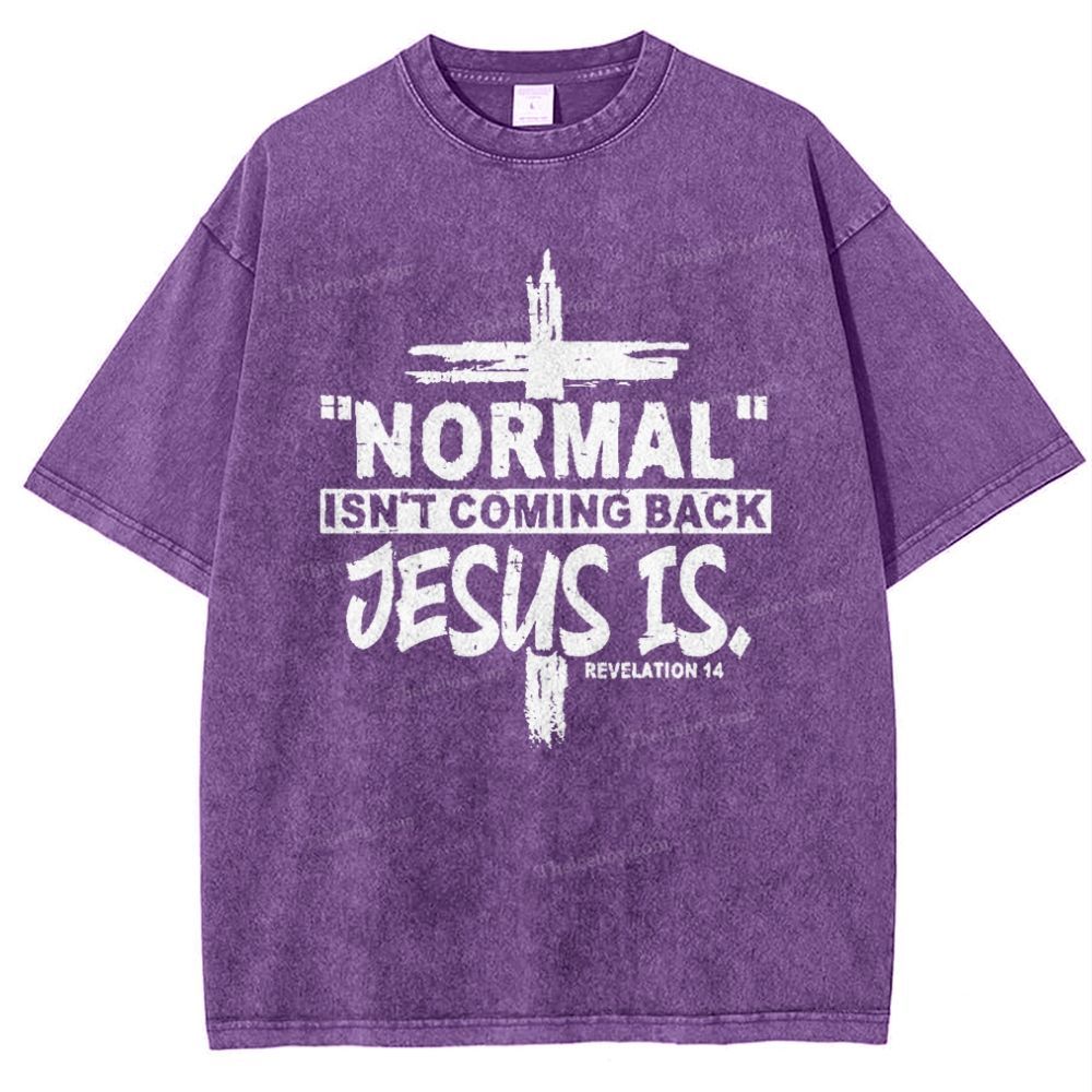Normal Isn't Coming Back Jesus Is .Revelation 14 Snowflake Vintage Washed T-Shirt
