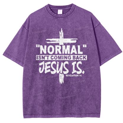 Normal Isn't Coming Back Jesus Is .Revelation 14 Snowflake Vintage Washed T-Shirt