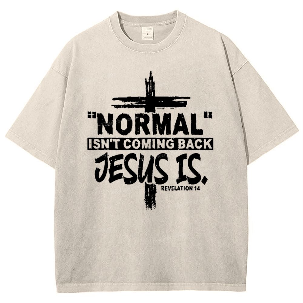 Normal Isn't Coming Back Jesus Is .Revelation 14 Snowflake Vintage Washed T-Shirt