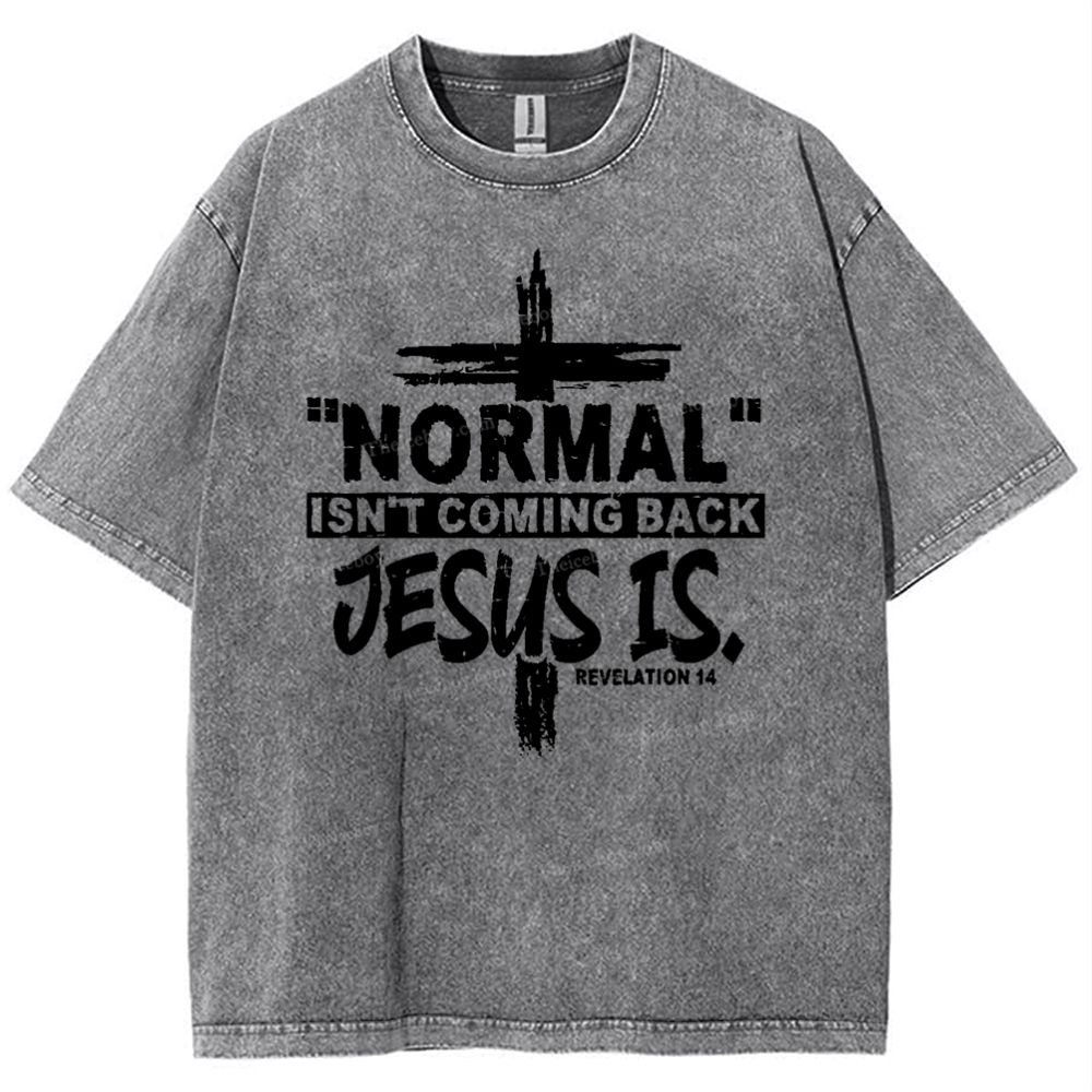 Normal Isn't Coming Back Jesus Is .Revelation 14 Snowflake Vintage Washed T-Shirt