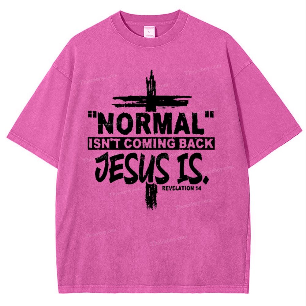 Normal Isn't Coming Back Jesus Is .Revelation 14 Snowflake Vintage Washed T-Shirt