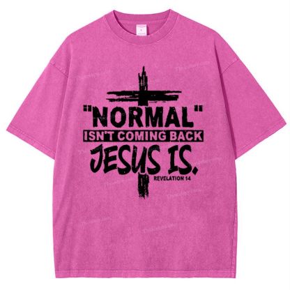 Normal Isn't Coming Back Jesus Is .Revelation 14 Snowflake Vintage Washed T-Shirt