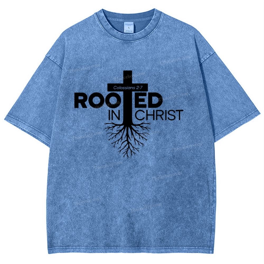 Rooted In Christ Snowflake Vintage Washed T-Shirt