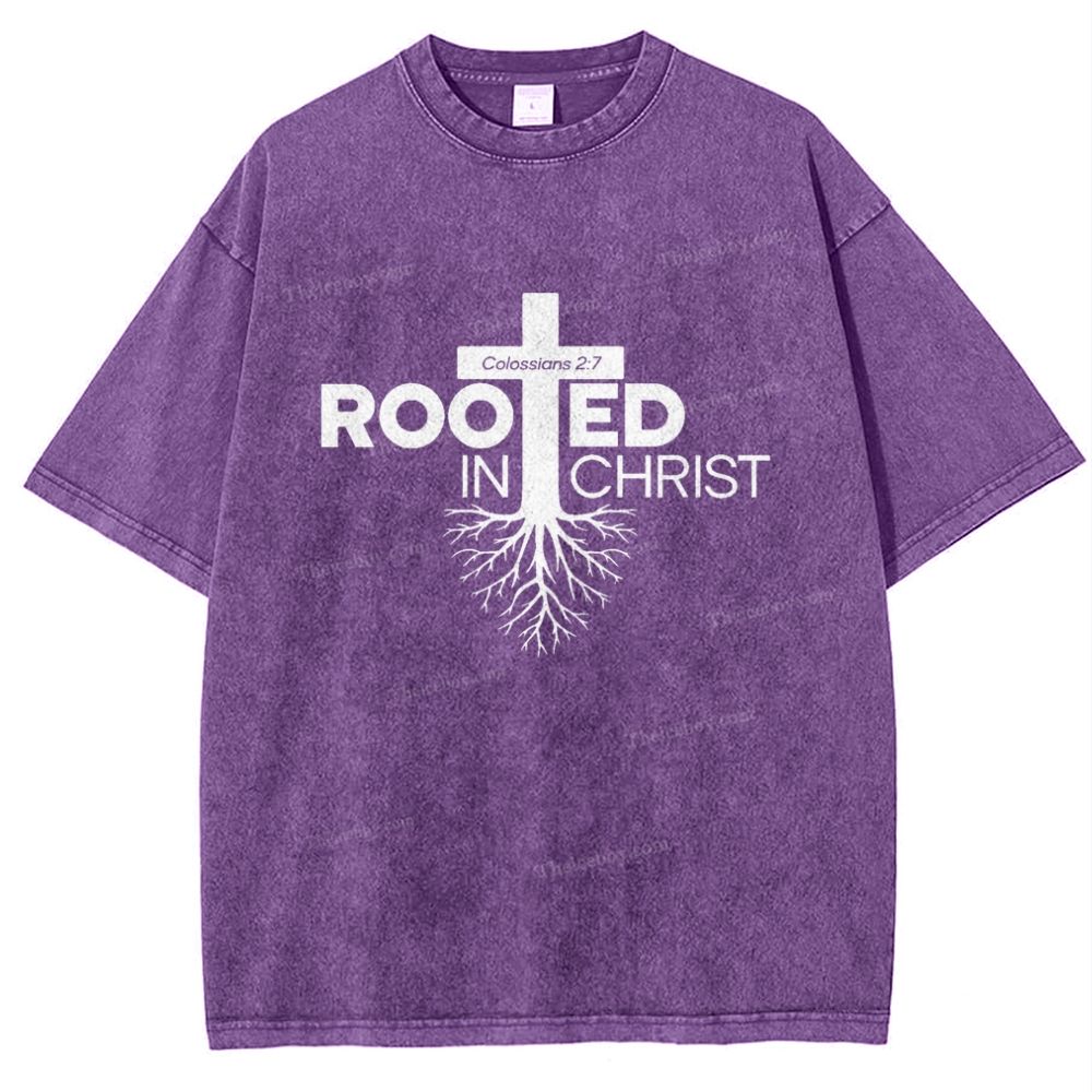 Rooted In Christ Snowflake Vintage Washed T-Shirt