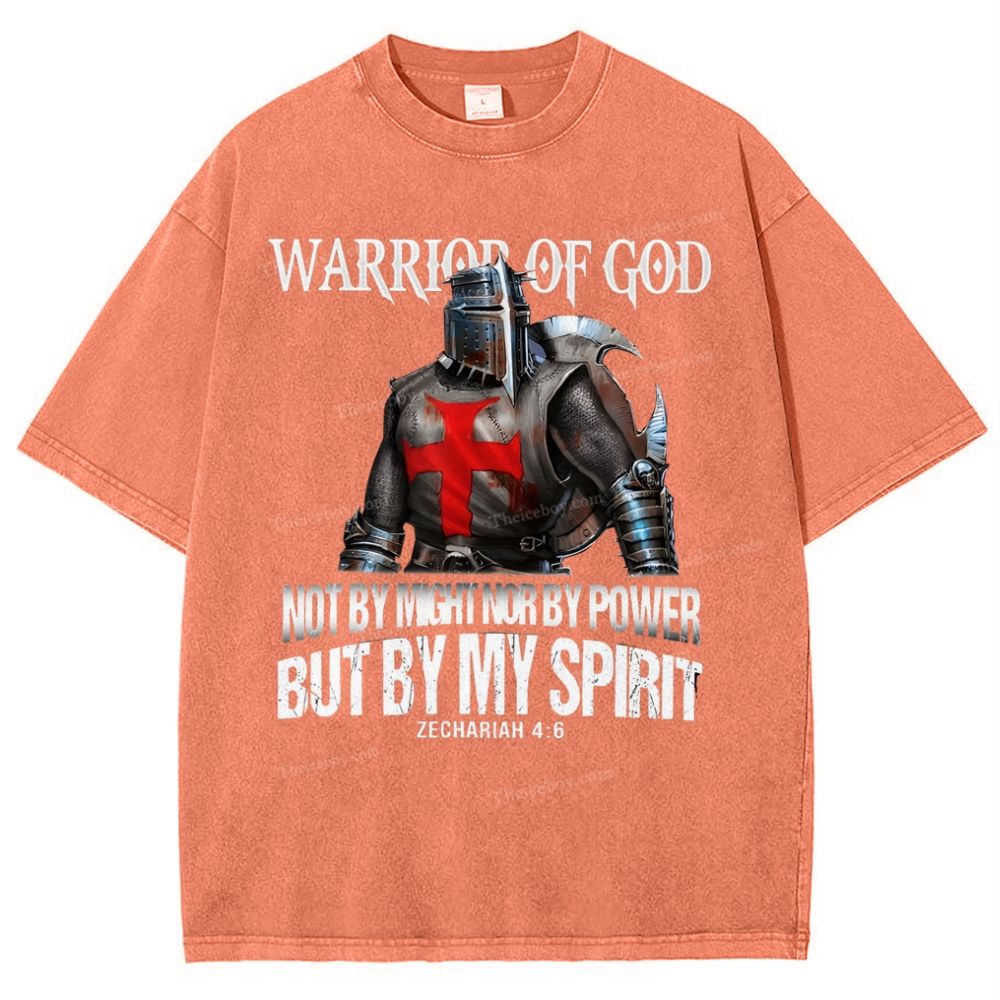 Warrior Of God Snowflake Vintage Washed T-Shirt