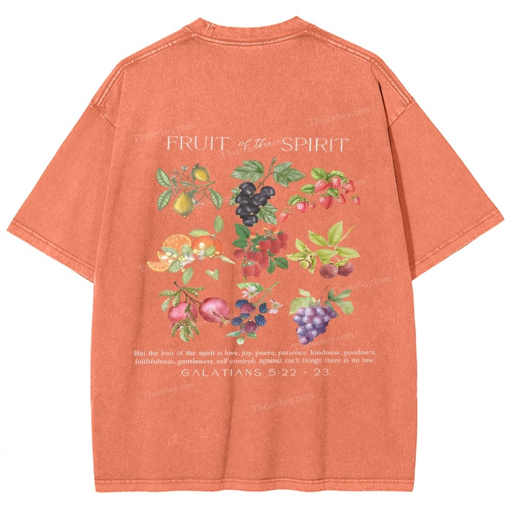 Fruit Of The Spirit Snowflake Vintage Washed T-Shirt