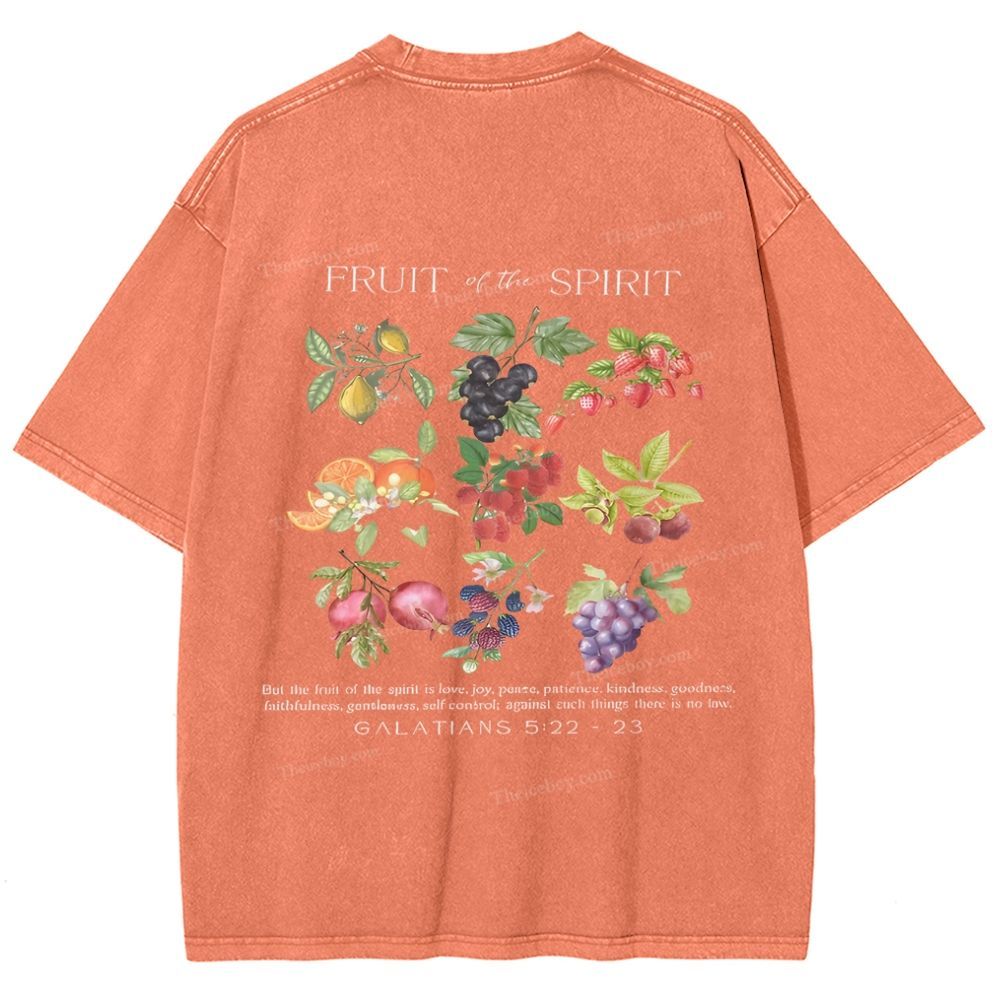 Fruit Of The Spirit Snowflake Vintage Washed T-Shirt