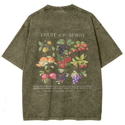 Fruit Of The Spirit Snowflake Vintage Washed T-Shirt
