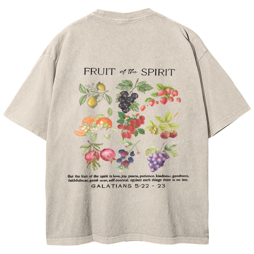 Fruit Of The Spirit Snowflake Vintage Washed T-Shirt