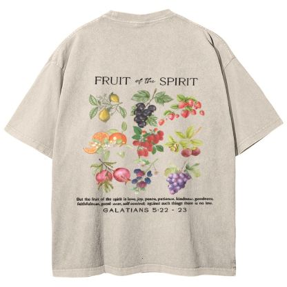 Fruit Of The Spirit Snowflake Vintage Washed T-Shirt