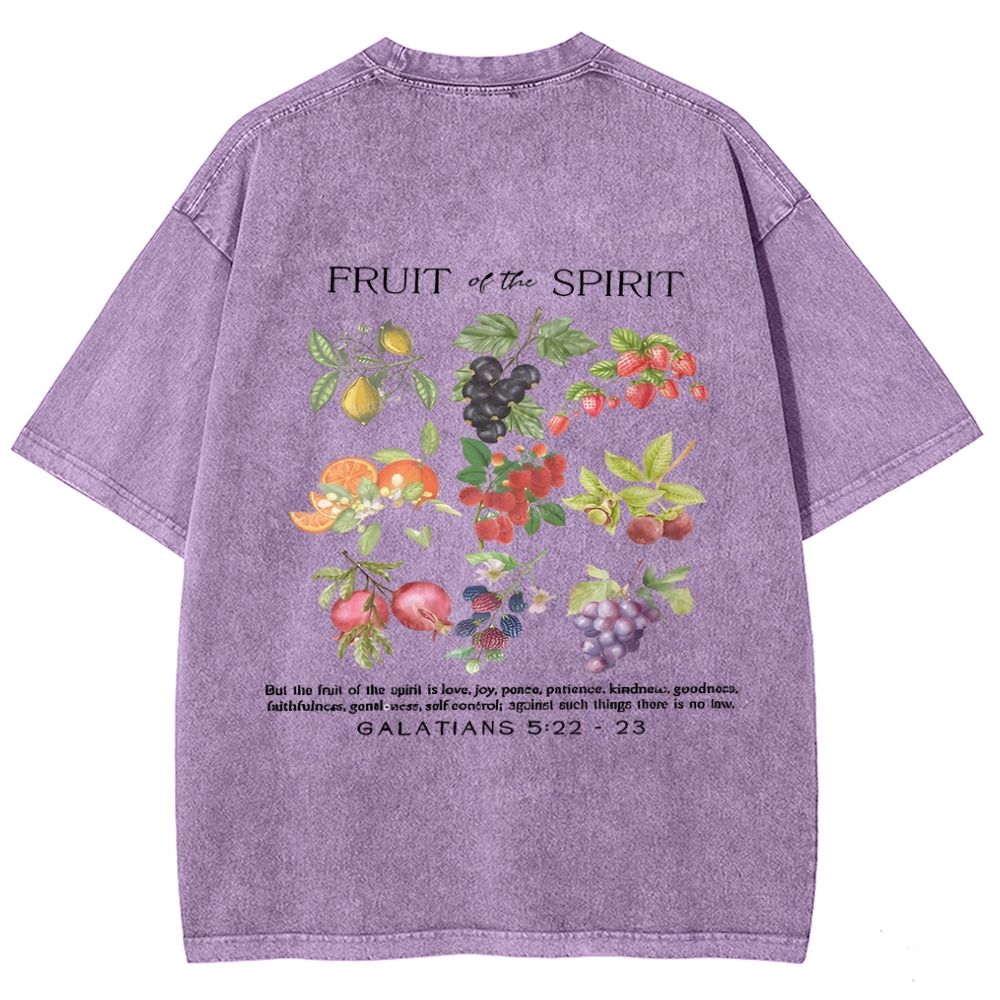 Fruit Of The Spirit Snowflake Vintage Washed T-Shirt