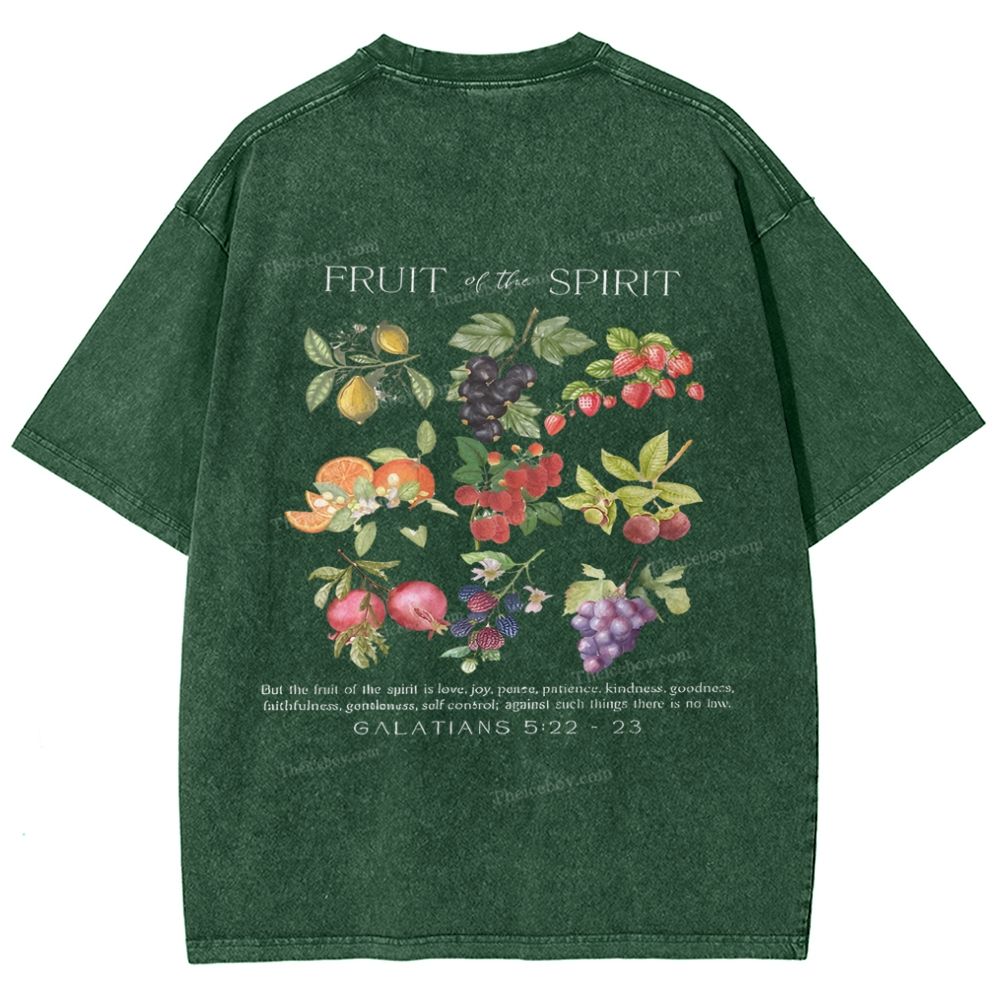 Fruit Of The Spirit Snowflake Vintage Washed T-Shirt