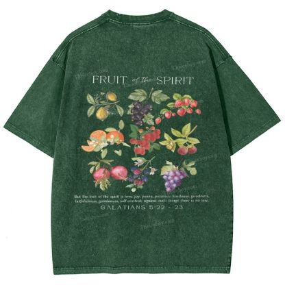 Fruit Of The Spirit Snowflake Vintage Washed T-Shirt
