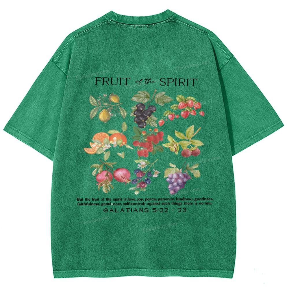 Fruit Of The Spirit Snowflake Vintage Washed T-Shirt