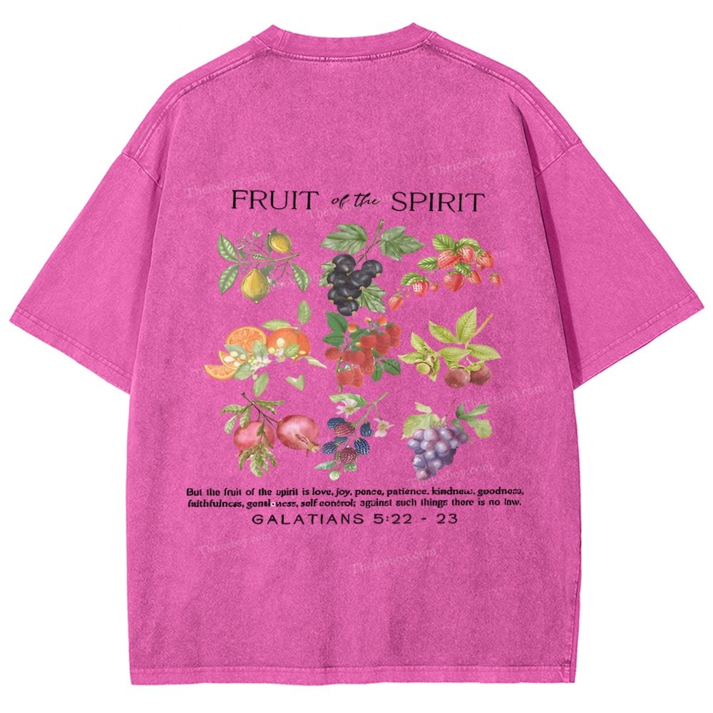 Fruit Of The Spirit Snowflake Vintage Washed T-Shirt