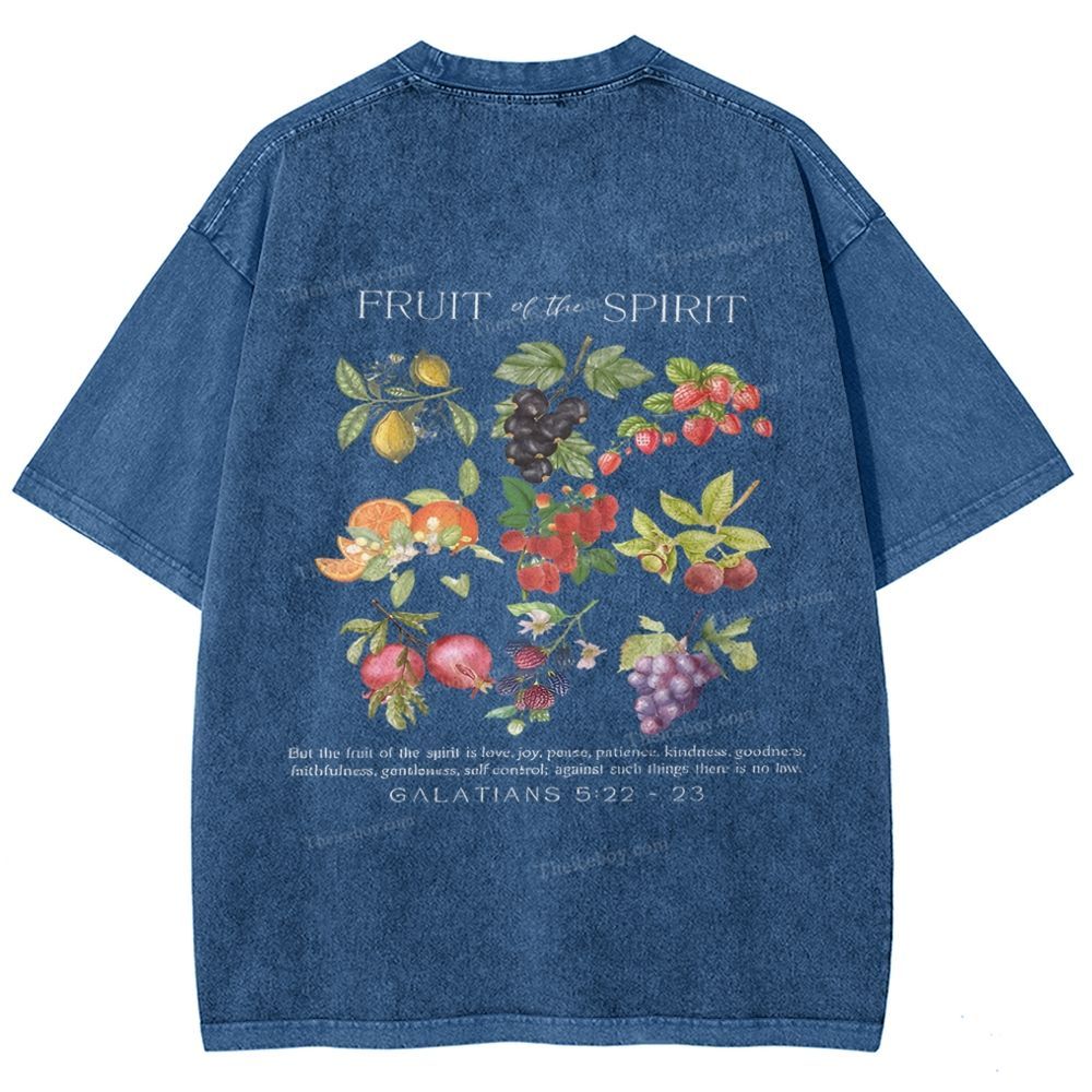 Fruit Of The Spirit Snowflake Vintage Washed T-Shirt