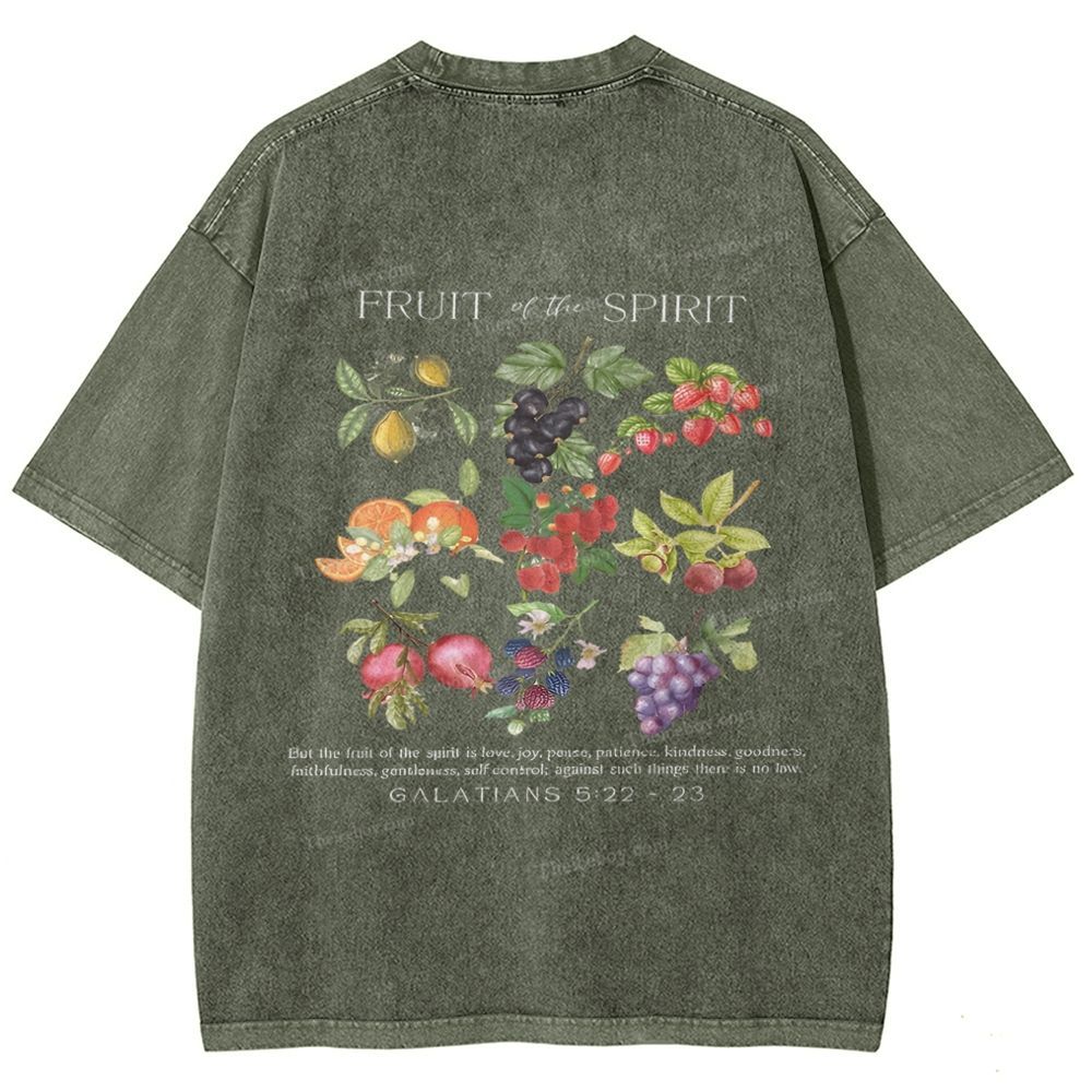 Fruit Of The Spirit Snowflake Vintage Washed T-Shirt